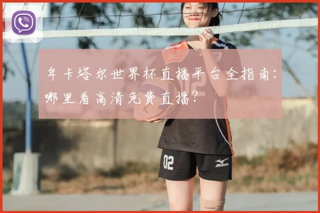 年卡塔尔世界杯直播平台全指南:哪里看高清免费直播?