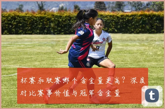 杯赛和联赛哪个含金量更高?深度对比赛事价值与冠军含金量